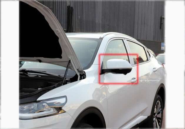 For 19-21 Haval F7X Side View Mirror Assembly Turn Signal 11 Pins Left White