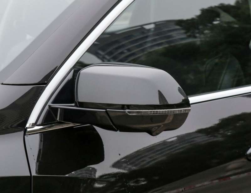 For 19-21 Haval F7X Side View Mirror Assembly Turn Signal 13 Pins Left Black