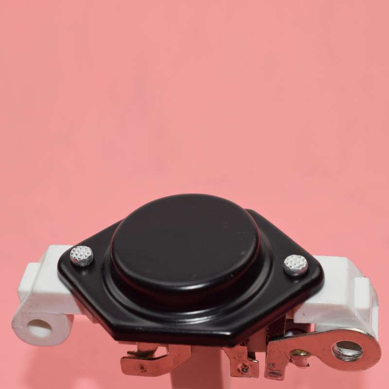 For VW Beetle Passat AUDI A8 100 90 Voltage Regulator Alternator NEW 028903803D