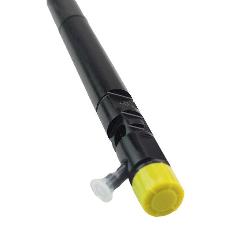 Compatible with Delphi Ssangyong Actyon Kyron 2.0L Xdi Fuel Injector A6640170221