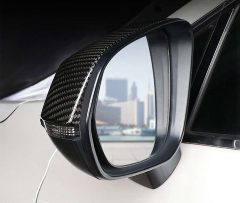 For Lexus NX 2022-2024 Carbon Fiber Side Door Rearview Mirror Cover Trim Cap