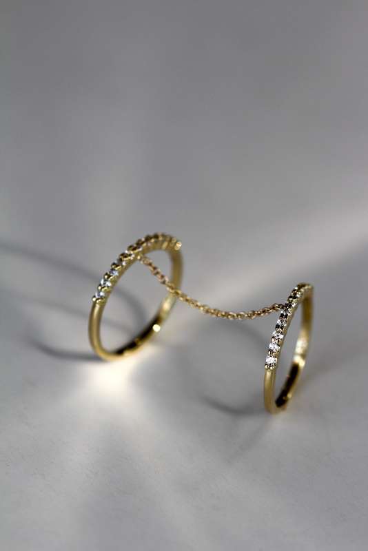 Double Chain Ring