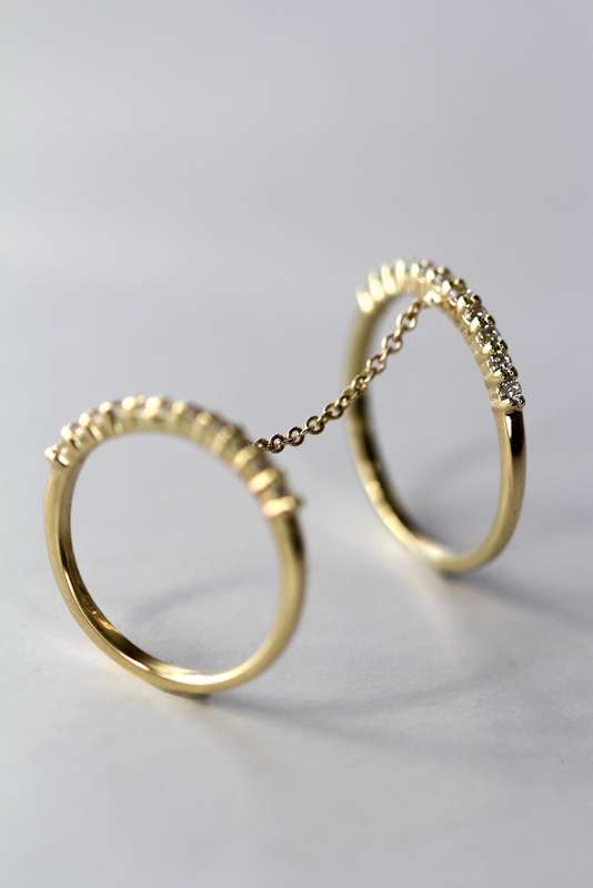Double Chain Ring