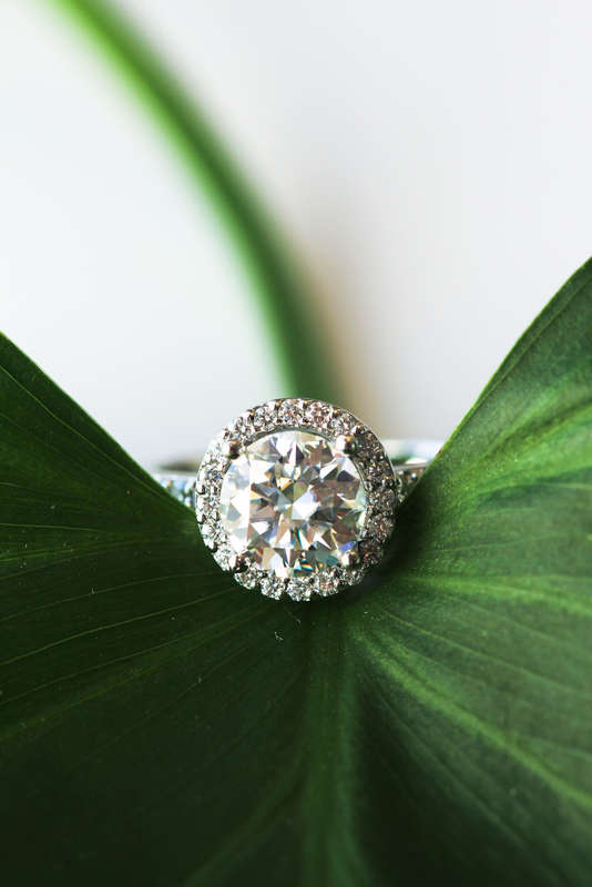 Platinum Halo Moissanite Engagement Ring