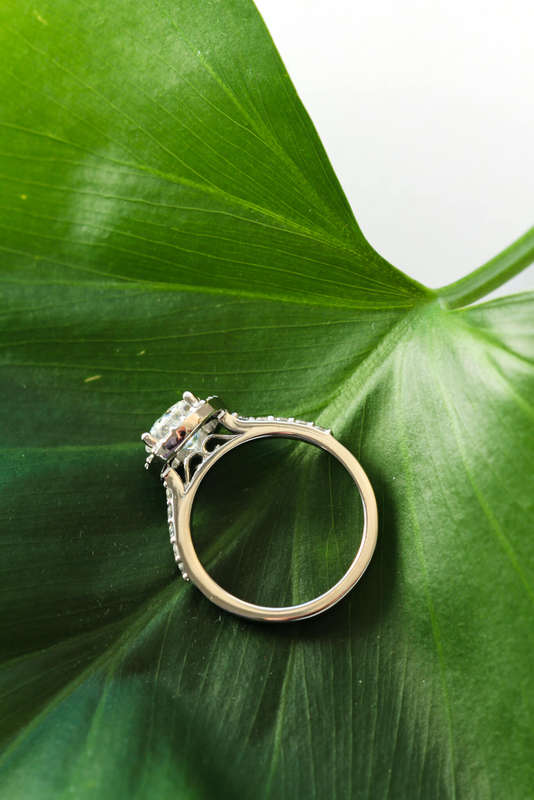 Platinum Halo Moissanite Engagement Ring
