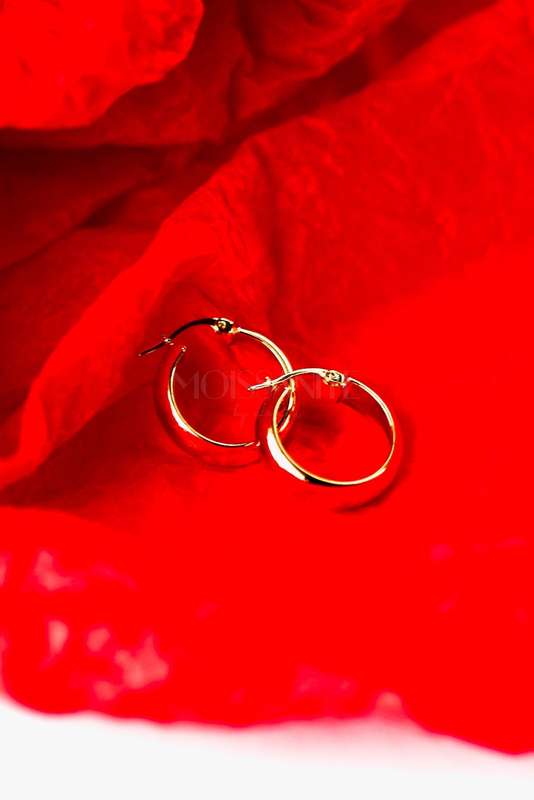 9ct Gold Flat Back Hoop Earrings 