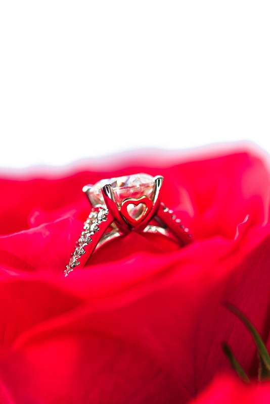 Moissanite Round Risen Heart Engagement Ring