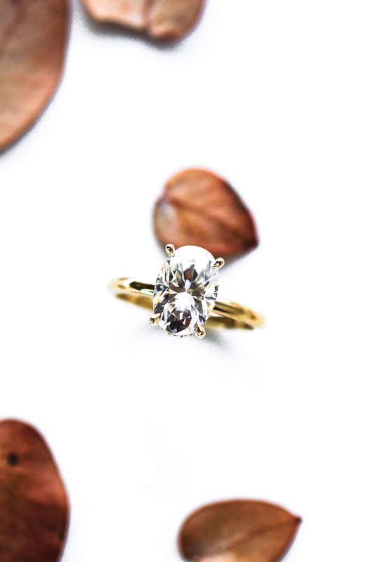 Double Hidden Halo Engagement Ring
