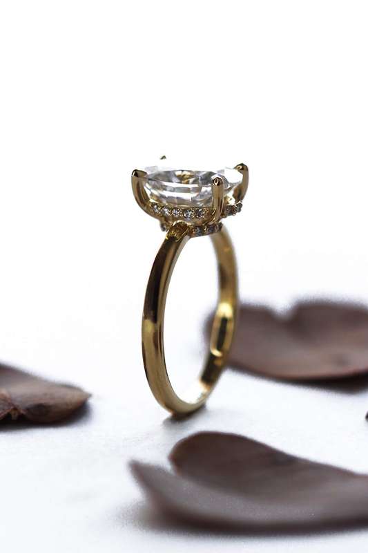 Double Hidden Halo Engagement Ring