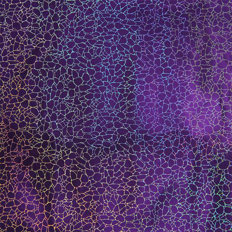Holographic Crack Pattern Craft Vinyl Purple
