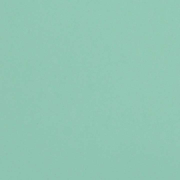 Glow in the dark Green Adhesive Craft Sticker Vinyl