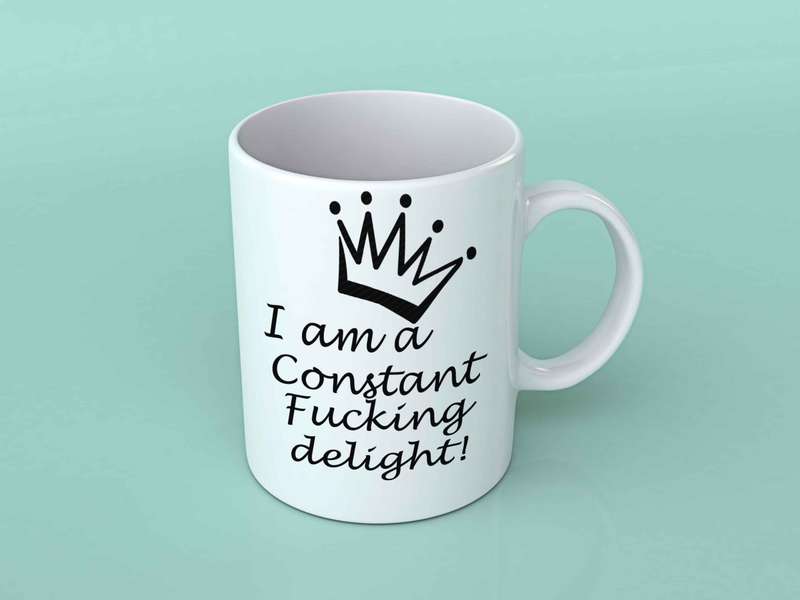 I am a constant fucking delight coffee mug