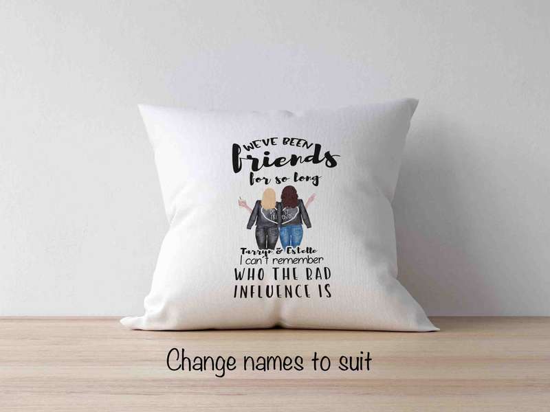 We've been friends for so long scatter cushion