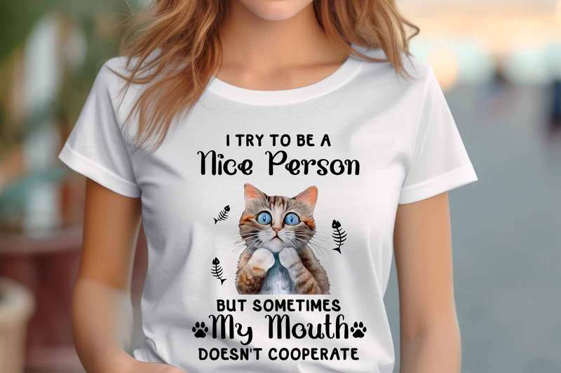 I try to be a nice person Ladies T-shirt