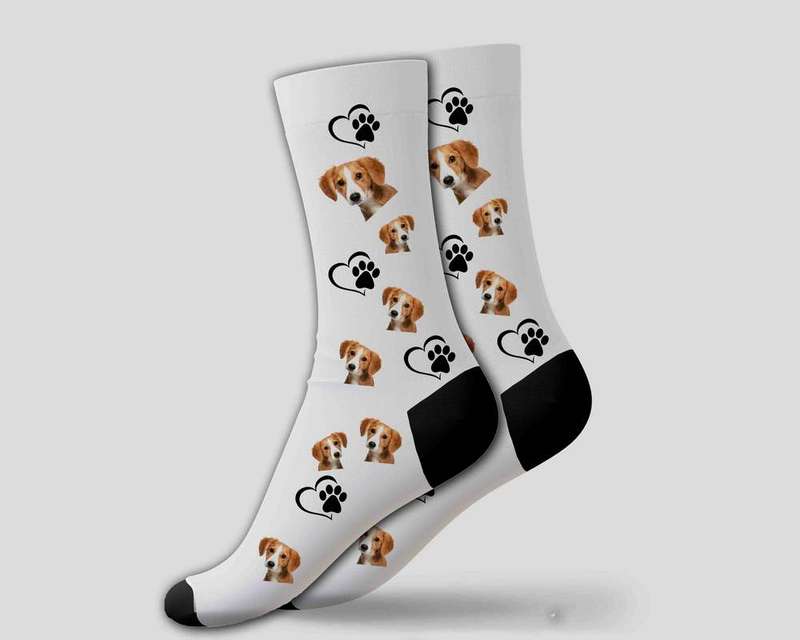 Pet face on socks
