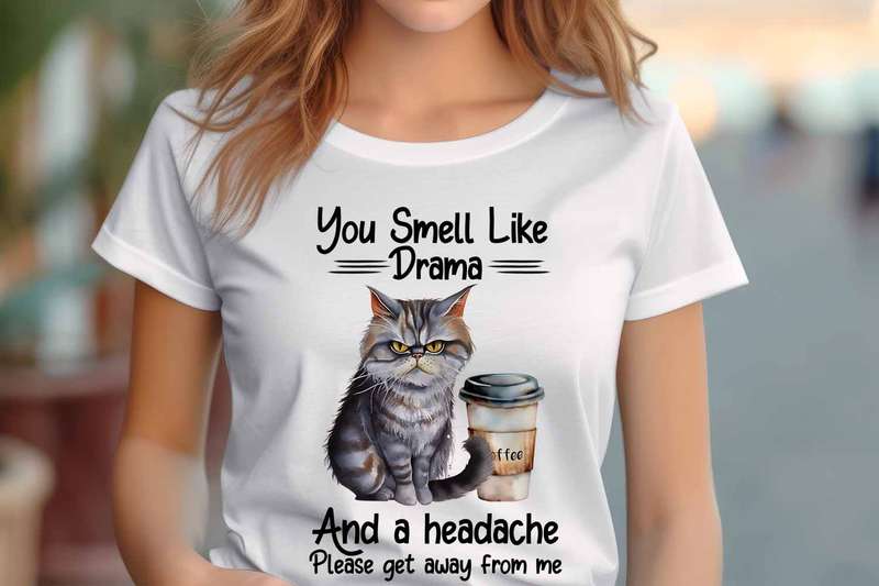 You smell like drama Ladies T-shirt