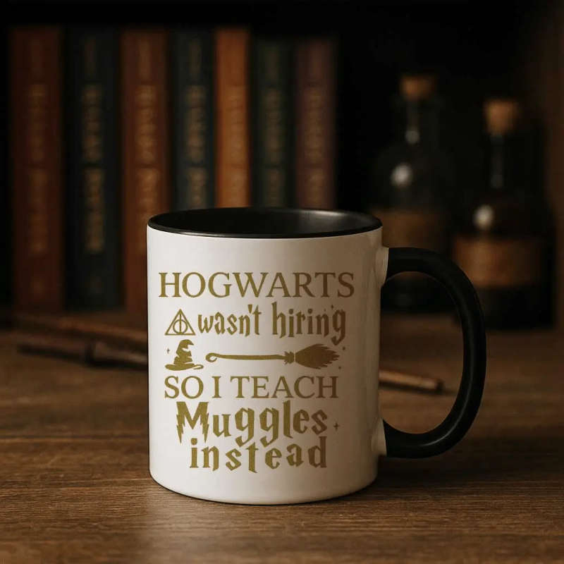 Hogwarts Wasnt Hiring Mug