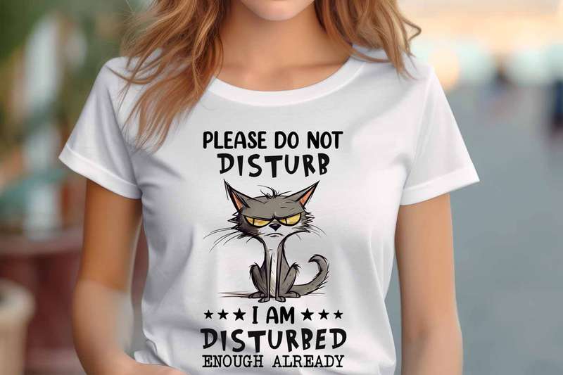 Please do not disturb Ladies T-shirt