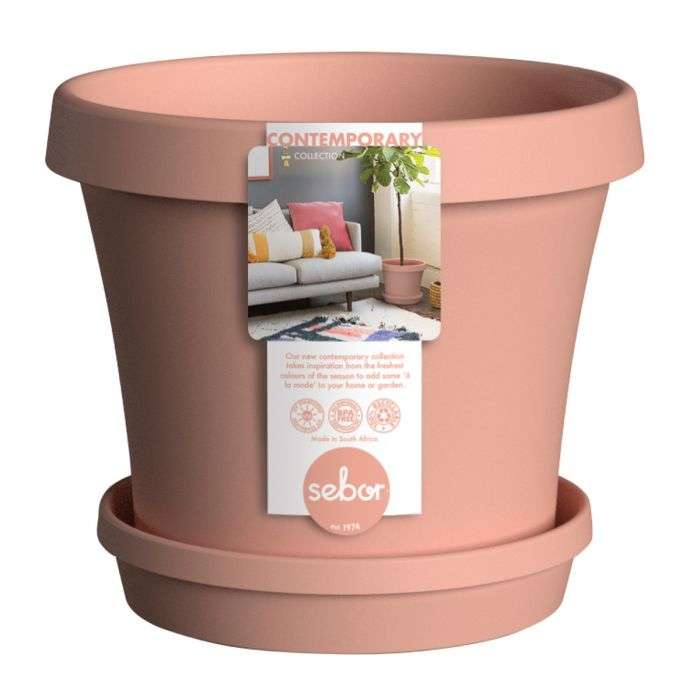 BULK PACK 6 X SEBOR SUPER POT & SAUCER SET 20CM PEACH