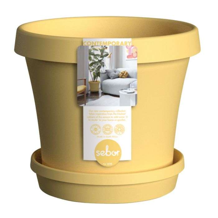 BULK PACK 6 X SEBOR SUPER POT & SAUCER SET 20CM YELLOW