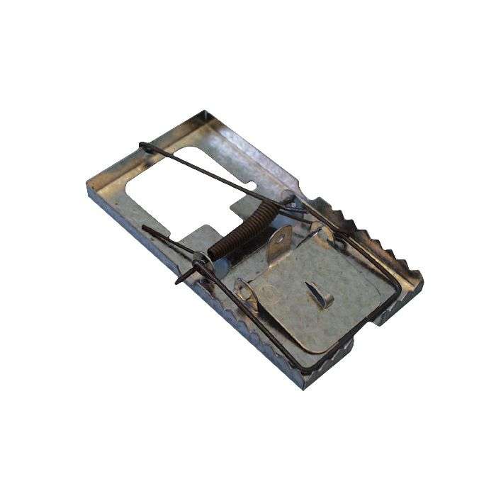 MOUSE TRAP