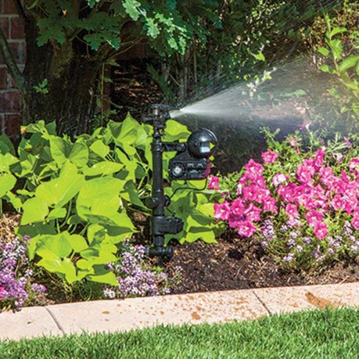 Orbit Motion Activated Sprinkler