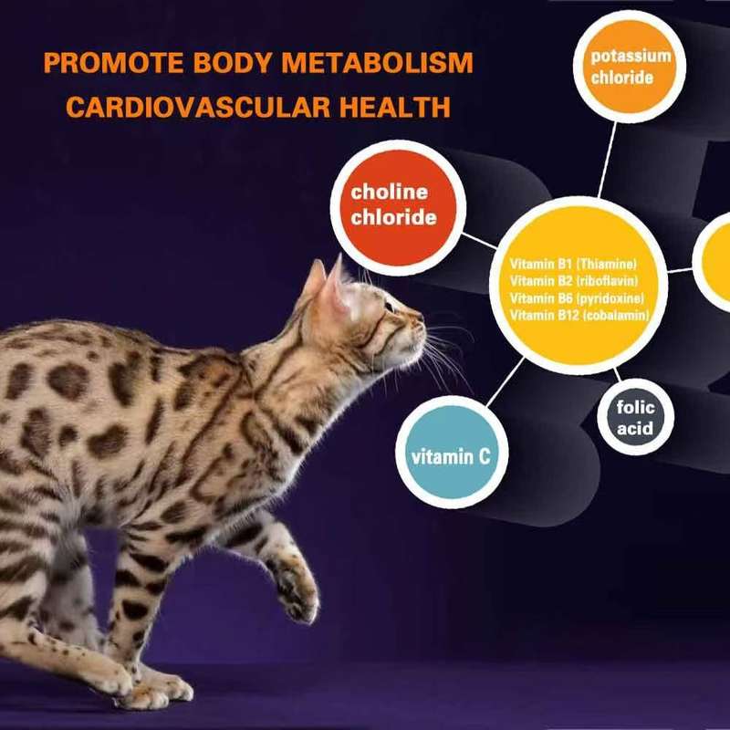 MaxPet 10kg Cat Dry Food Halal Organic Fresh - Tuna Flavor - All Life Stages