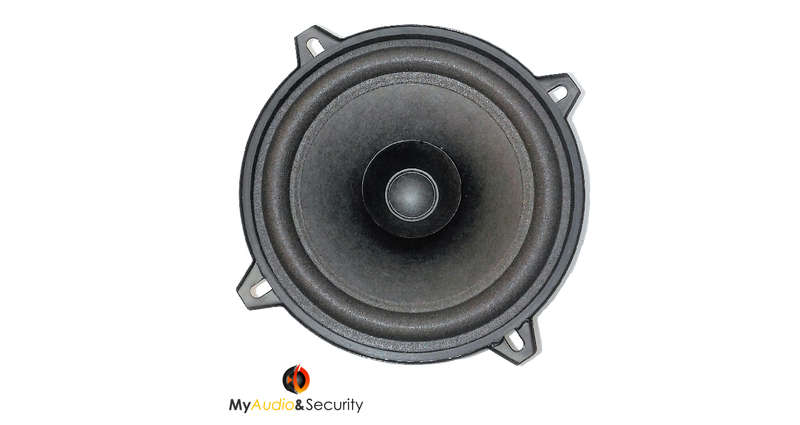 Blackspider MFN525SE 5" 60W Trade Speaker