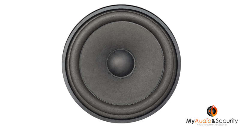 Blackspider 6" 80W Big Trade Speaker