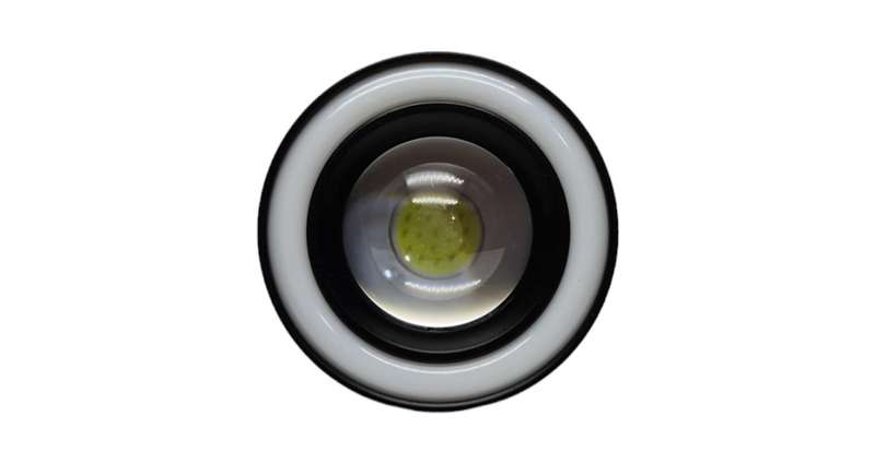 Universal Fog and Angel Lights Yellow