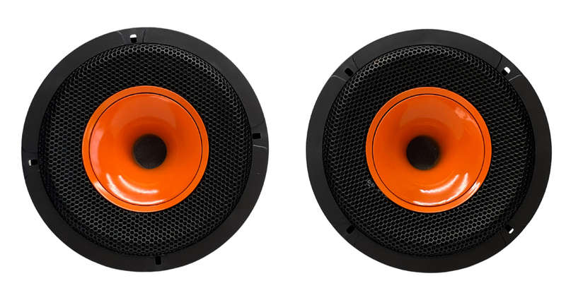 Blackspider BS-S1695PRO 6" 2000W Pro Speaker