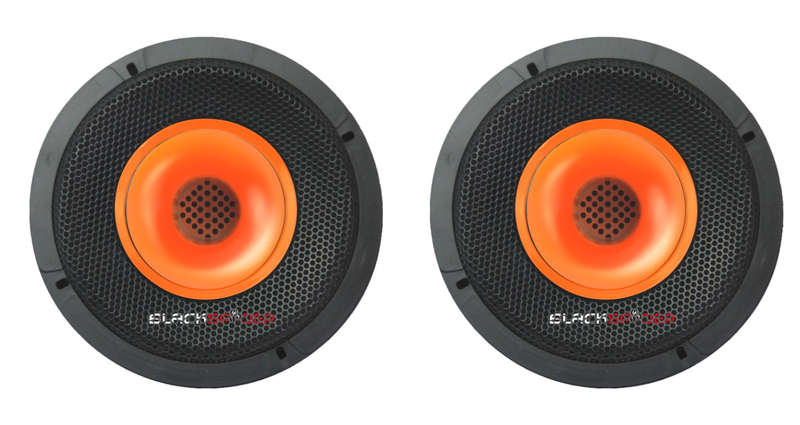 Blackspider BS-S1695PRO 6" 2000W Pro Speaker