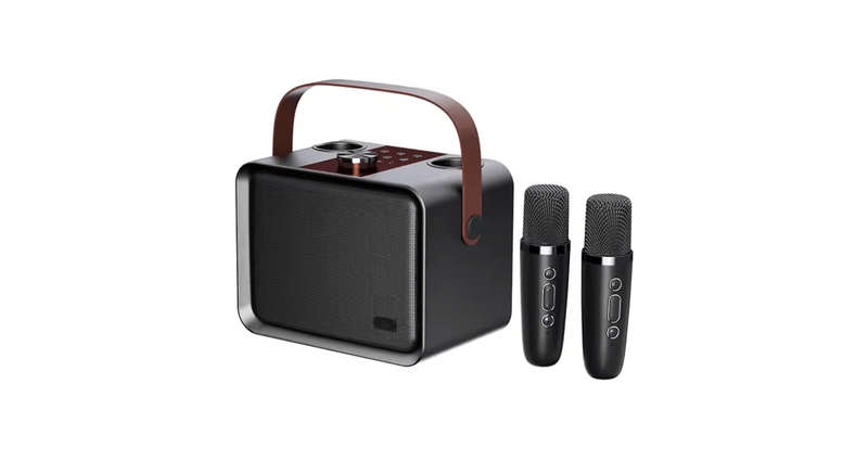 QM1 Wireless Bluetooth Karaoke Speaker with Dual Mics