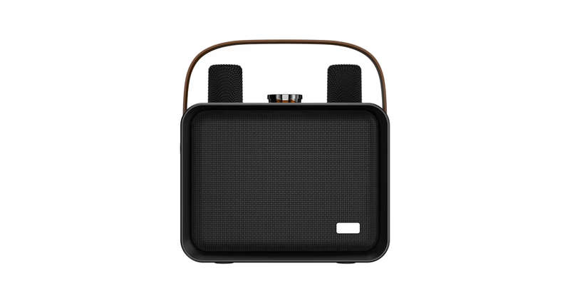 QM1 Wireless Bluetooth Karaoke Speaker with Dual Mics