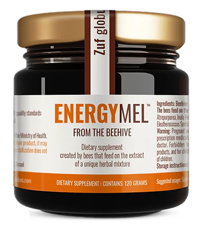 ENERGYMEL