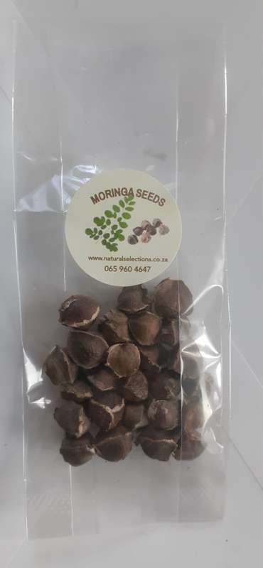 Moringa Seeds