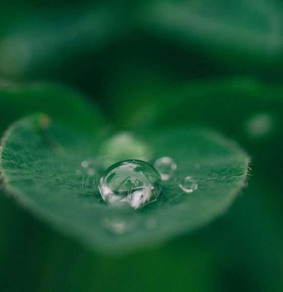 aaron-burden-dXYE1d08BiY-unsplash