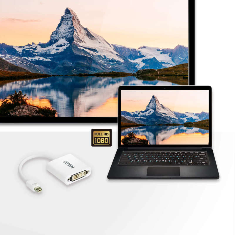 ATEN Mini DisplayPort to DVI Adapter