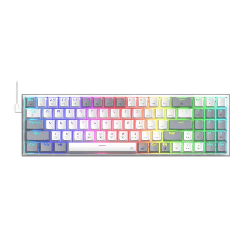 REDRAGON Mechanical Pollux Wired Gaming Keyboard