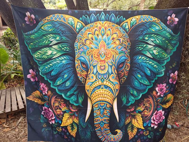 Digital Prints / Tapestry