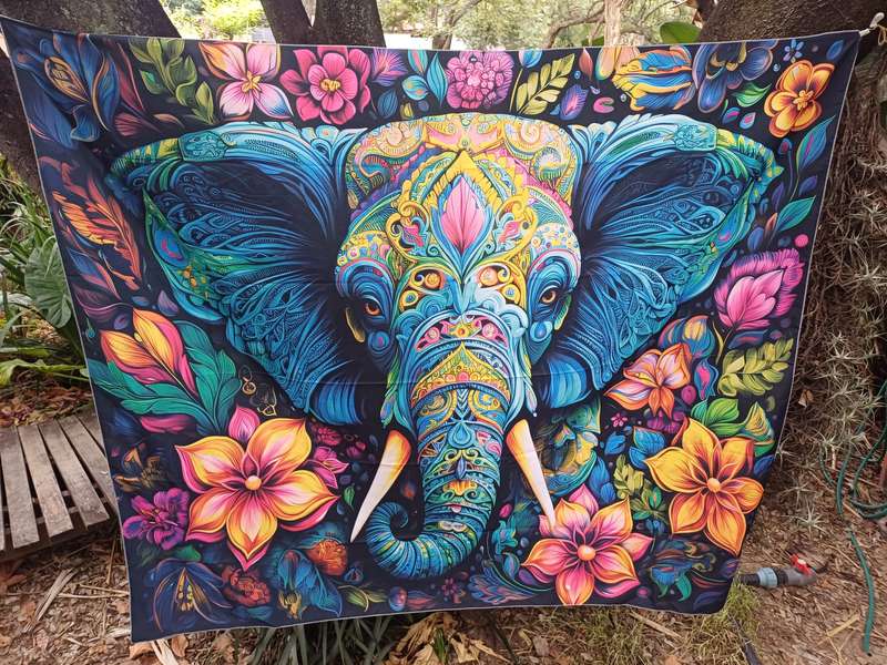 Digital Prints / Tapestry