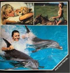 Olivia Newton-John's 1982 Sun City South African Tour programme
