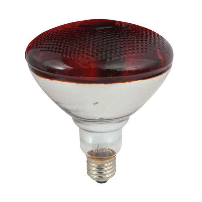Radiant - Globe Par38 Chicken Sicca Therm 175W