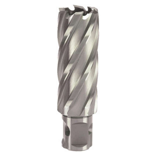 Micro-Tec - Broach Cutter 19X50Mm Hss