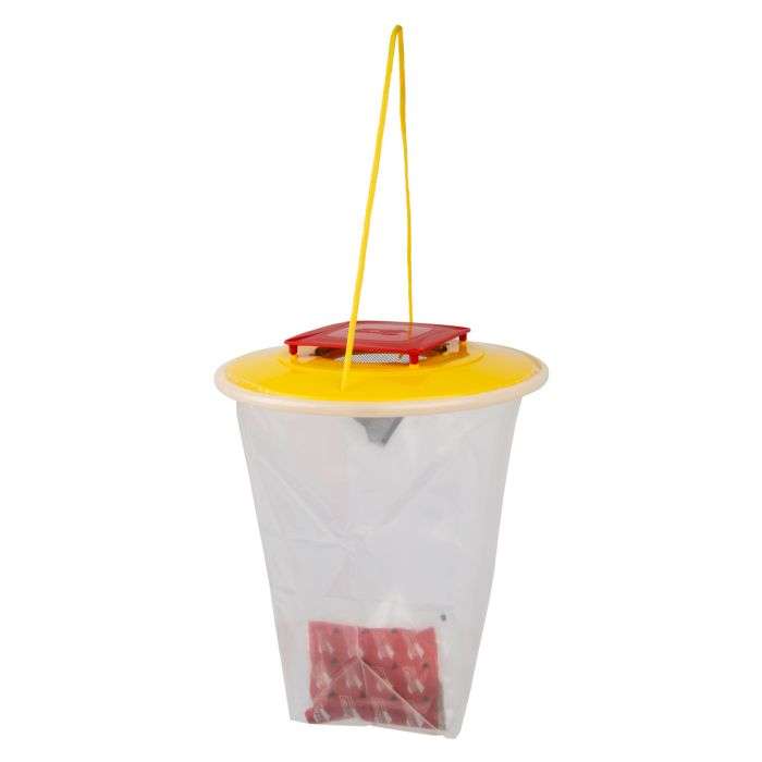 Redtop Standard Fly Catcher (Reusable) - 2 Pack