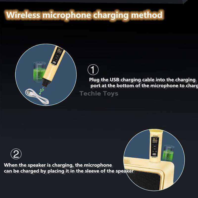 SDRD SD309 Wireless Microphone Bluetooth Audio All-In-One Machine(Black)