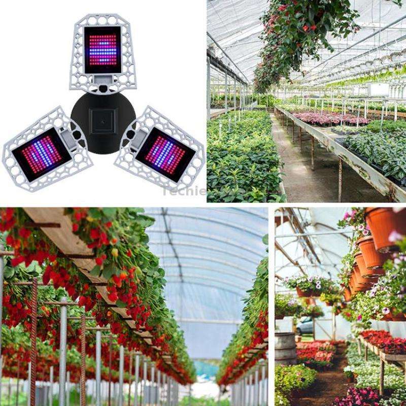 LED Plant Lamp Full Spectroscopy Red And Blue Fill Light Plant Growth Lamp, Power: E26 240 Beads