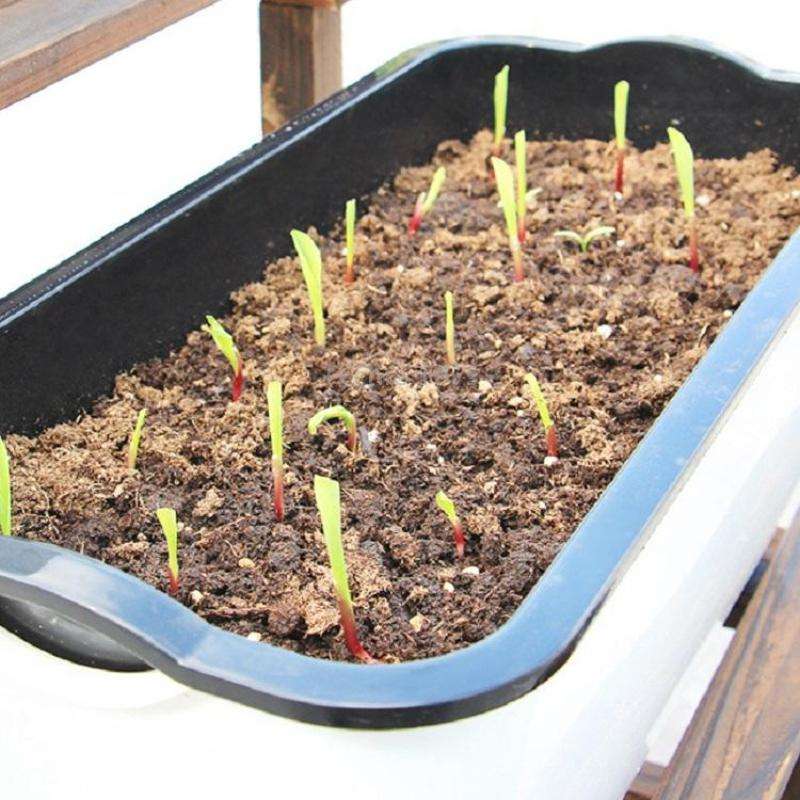 Family Balcony Rectangular Plastic Self-Absorbent Vegetable Growing Pot Flower Pot, Style: SC02 Big