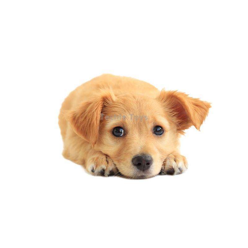Style 1 Large 3D Simulation Dog Car Stickers Rain-Proof Sunscreen Car Sticker Scratch Shaving Decora