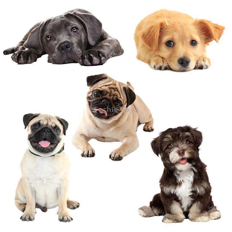 Style 1 Large 3D Simulation Dog Car Stickers Rain-Proof Sunscreen Car Sticker Scratch Shaving Decora